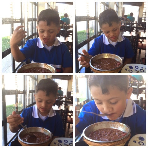 Guidance for parents of disobedient children. Guía para padres de niños disobedientes.